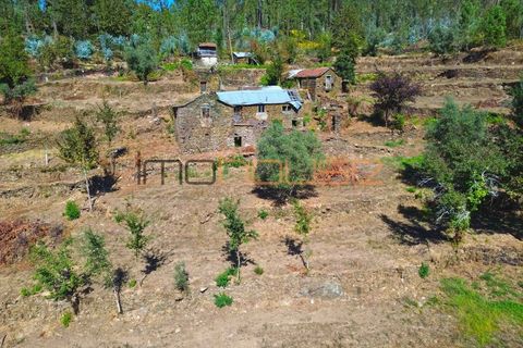 Farm i Arouca, Aveiro, Arouca - € 520.000 | Ref: 00658FR - foto 8