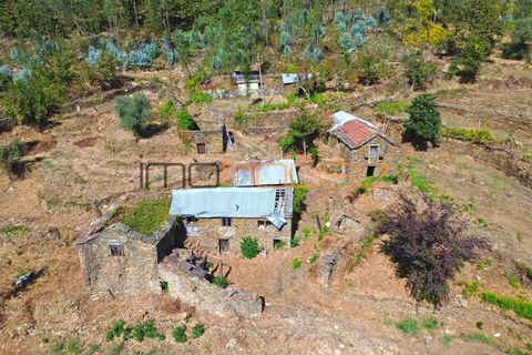 Farm i Arouca, Aveiro, Arouca - € 520.000 | Ref: 00658FR - foto 2