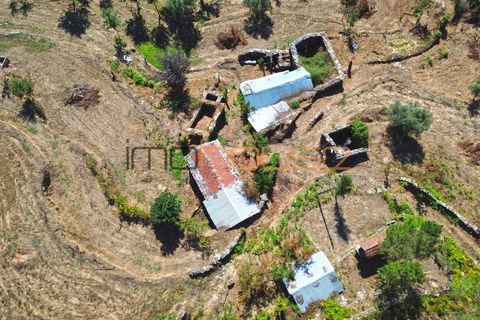 Farm i Arouca, Aveiro, Arouca - € 520.000 | Ref: 00658FR - foto 11