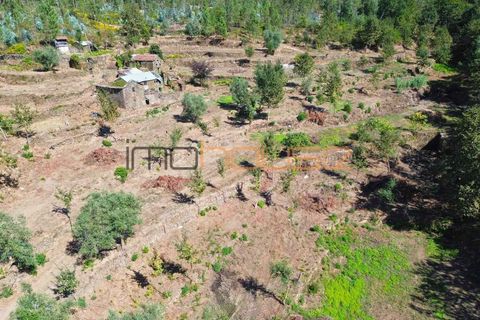 Farm i Arouca, Aveiro, Arouca - € 520.000 | Ref: 00658FR - foto 16