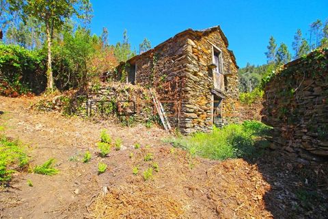 Farm i Arouca, Aveiro, Arouca - € 520.000 | Ref: 00658FR - foto 22