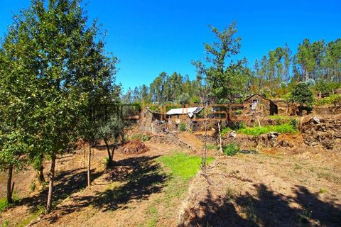 Farm i Arouca, Aveiro, Arouca - € 520.000 | Ref: 00658FR - foto 29