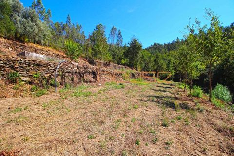 Farm i Arouca, Aveiro, Arouca - € 520.000 | Ref: 00658FR - foto 30