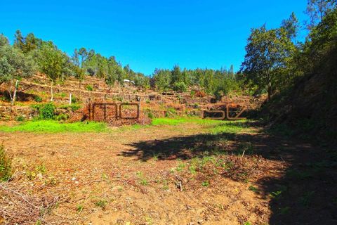 Farm i Arouca, Aveiro, Arouca - € 520.000 | Ref: 00658FR - foto 42