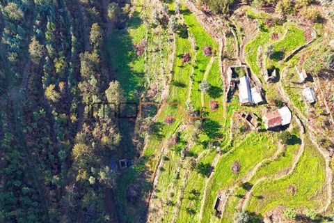 Farm i Arouca, Aveiro, Arouca - € 520.000 | Ref: 00658FR - foto 12