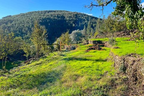 Farm i Arouca, Aveiro, Arouca - € 520.000 | Ref: 00658FR - foto 24