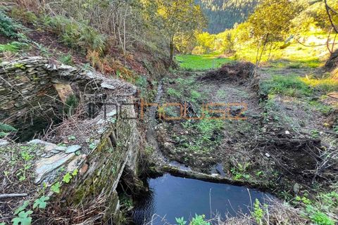Farm i Arouca, Aveiro, Arouca - € 520.000 | Ref: 00658FR - foto 39