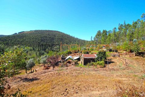Farm i Arouca, Aveiro, Arouca - € 520.000 | Ref: 00658FR - foto 9