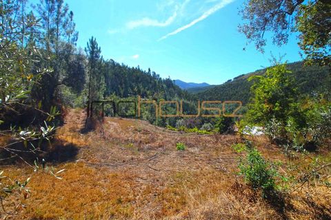 Farm i Arouca, Aveiro, Arouca - € 520.000 | Ref: 00658FR - foto 32