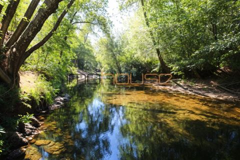 Farm i Arouca, Aveiro, Arouca - € 520.000 | Ref: 00658FR - foto 6