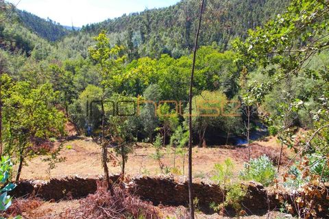 Farm i Arouca, Aveiro, Arouca - € 520.000 | Ref: 00658FR - foto 45