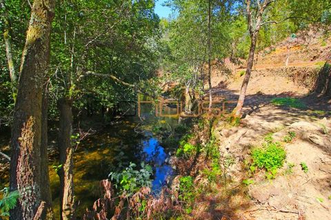Farm i Arouca, Aveiro, Arouca - € 520.000 | Ref: 00658FR - foto 48