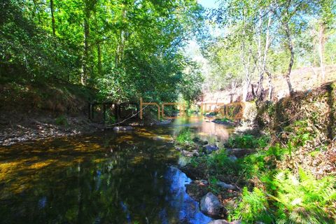 Farm i Arouca, Aveiro, Arouca - € 520.000 | Ref: 00658FR - foto 49