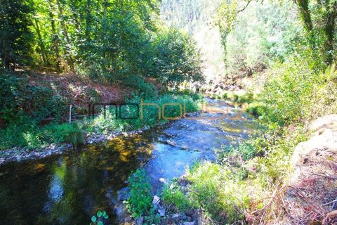 Farm i Arouca, Aveiro, Arouca - € 520.000 | Ref: 00658FR - foto 50