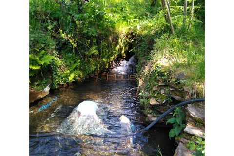 Farm i Arouca, Aveiro, Arouca - € 520.000 | Ref: 00658FR - foto 47