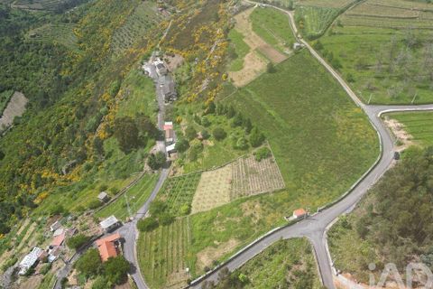 Terra a Vila Real, Vila Real, Vila Real - € 690.000 | Ref: 127350 - foto 18