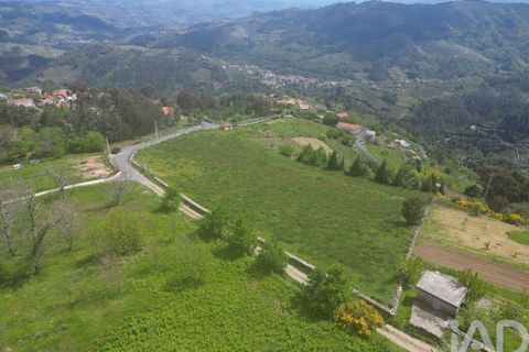 Terra a Vila Real, Vila Real, Vila Real - € 690.000 | Ref: 127350 - foto 21