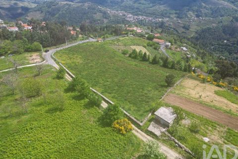 Terra a Vila Real, Vila Real, Vila Real - € 690.000 | Ref: 127350 - foto 22