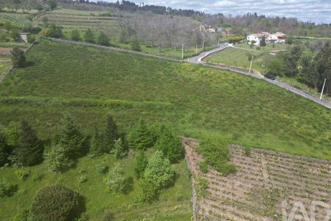 Terra a Vila Real, Vila Real, Vila Real - € 690.000 | Ref: 127350 - foto 23