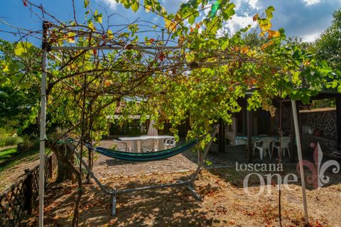 Villa i Chianni, Pisa, Chianni - € 450.000 | Ref: 18693 - foto 31