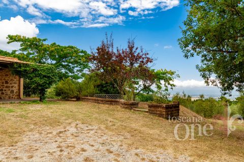 Villa i Chianni, Pisa, Chianni - € 450.000 | Ref: 18693 - foto 42