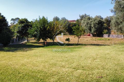 Byhus i Arcos de Valdevez, Viana do Castelo, Arcos de Valdevez - € 439.000 | Ref: AV6103 - foto 7