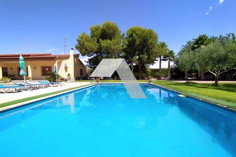 Villa in Mutxamel, Alicante, Mutxamel - € 600.000 | Ref: 19023T/1008 - foto 2