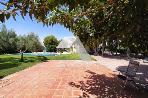Villa in Mutxamel, Alicante, Mutxamel - € 600.000 | Ref: 19023T/1008 - foto 13