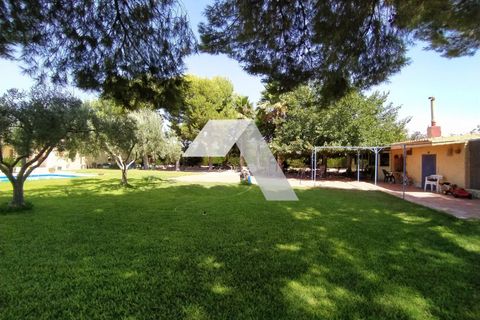 Villa in Mutxamel, Alicante, Mutxamel - € 600.000 | Ref: 19023T/1008 - foto 29