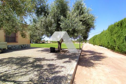 Villa in Mutxamel, Alicante, Mutxamel - € 600.000 | Ref: 19023T/1008 - foto 36