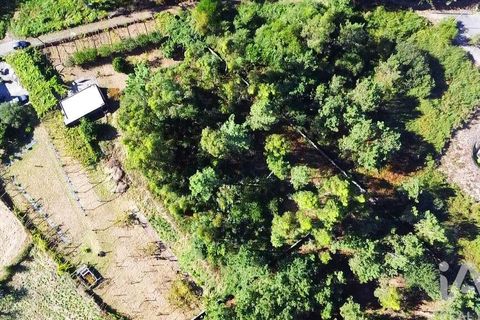 Helårsgrund i Esposende, Braga, Esposende - € 150.000 | Ref: 127675 - foto 3