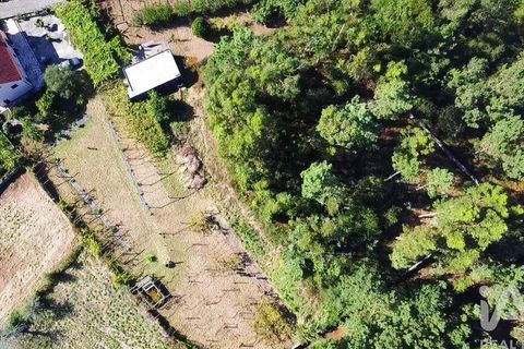 Helårsgrund i Esposende, Braga, Esposende - € 150.000 | Ref: 127675 - foto 4