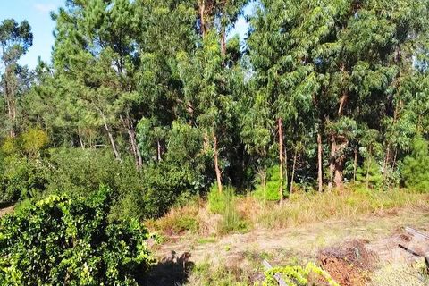 Helårsgrund i Esposende, Braga, Esposende - € 150.000 | Ref: 127675 - foto 5