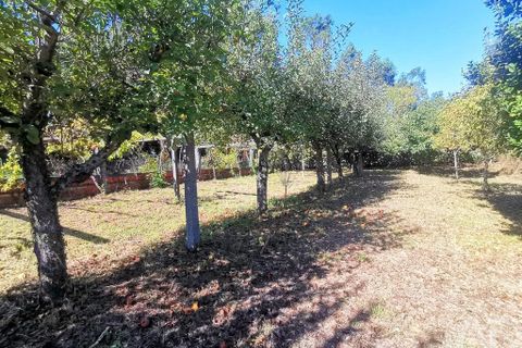 Helårsgrund i Esposende, Braga, Esposende - € 150.000 | Ref: 127675 - foto 6