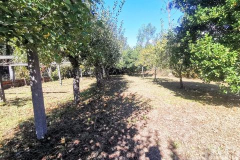 Helårsgrund i Esposende, Braga, Esposende - € 150.000 | Ref: 127675 - foto 7