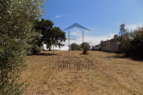 Helårsgrund i Rio Maior, Santarem, Rio Maior - € 285.000 | Ref: TMM-029 - foto 2