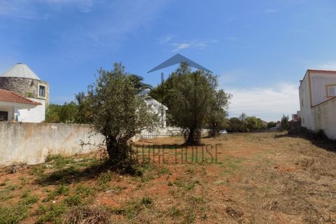 Helårsgrund i Rio Maior, Santarem, Rio Maior - € 285.000 | Ref: TMM-029 - foto 3