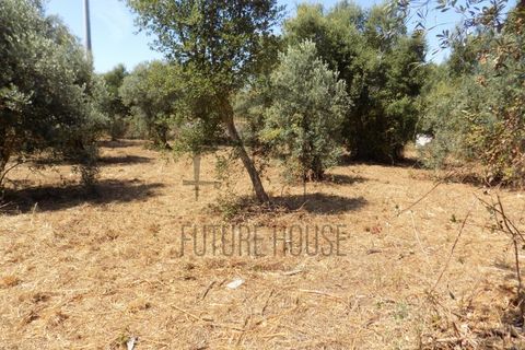 Helårsgrund i Rio Maior, Santarem, Rio Maior - € 285.000 | Ref: TMM-029 - foto 4