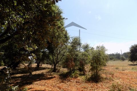 Helårsgrund i Rio Maior, Santarem, Rio Maior - € 285.000 | Ref: TMM-029 - foto 5