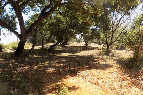Helårsgrund i Rio Maior, Santarem, Rio Maior - € 285.000 | Ref: TMM-029 - foto 6