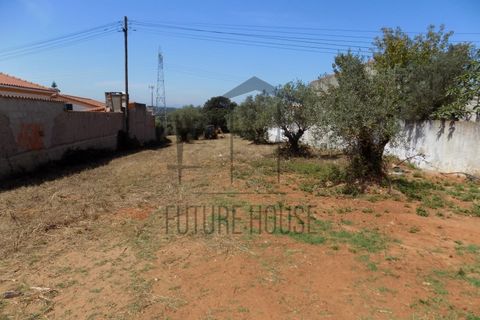 Helårsgrund i Rio Maior, Santarem, Rio Maior - € 285.000 | Ref: TMM-029 - foto 7