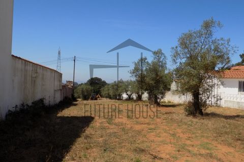 Helårsgrund i Rio Maior, Santarem, Rio Maior - € 285.000 | Ref: TMM-029 - foto 8