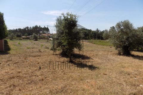 Helårsgrund i Rio Maior, Santarem, Rio Maior - € 285.000 | Ref: TMM-029 - foto 12