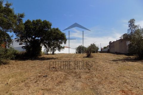 Helårsgrund i Rio Maior, Santarem, Rio Maior - € 285.000 | Ref: TMM-029 - foto 13