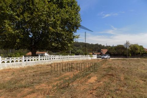 Helårsgrund i Rio Maior, Santarem, Rio Maior - € 285.000 | Ref: TMM-029 - foto 14