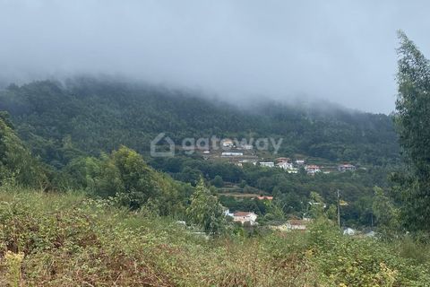 Helårsgrund i Santo Tirso, Porto, Santo Tirso - € 210.000 | Ref: STA_2 - foto 7