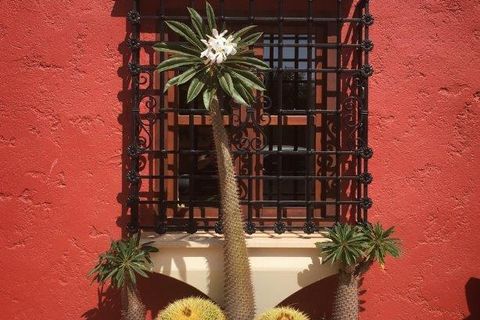 Villa a Las Cunas, Almeria, Las Cunas - € 725.000 | Ref: es5554278 - foto 15