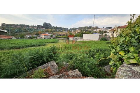 Terra a Lordelo, Braga, Lordelo - € 195.000 | Ref: TER_44 - foto 2