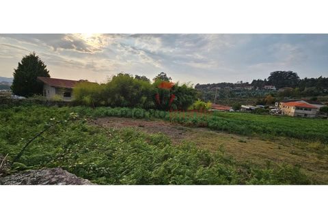 Terra a Lordelo, Braga, Lordelo - € 195.000 | Ref: TER_44 - foto 3