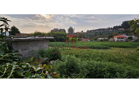 Terra a Lordelo, Braga, Lordelo - € 195.000 | Ref: TER_44 - foto 4